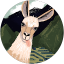 M profile picture