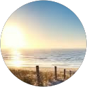 Alison Thela profile picture